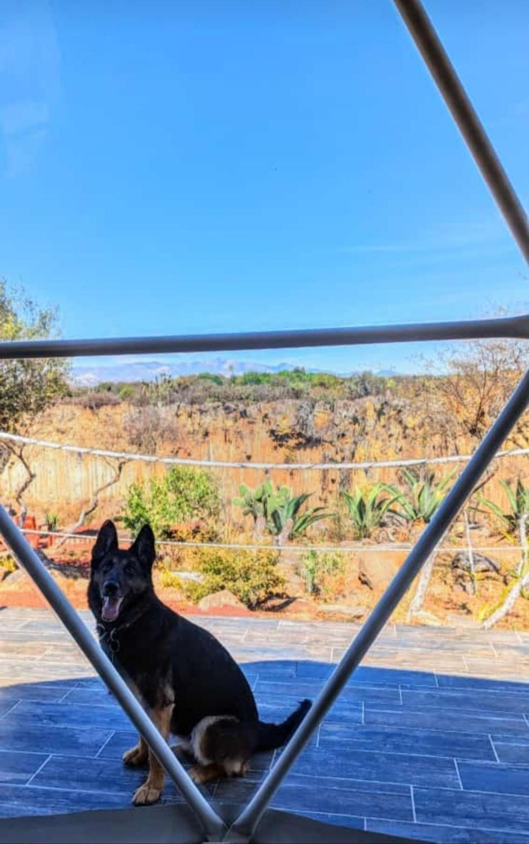 Отель El Gato Glamping Con Vista A Prismas Basalticos Уаска-де-Окампо Экстерьер фото